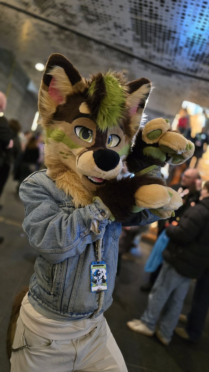 Kip (@venousspace) on Twitter photo Had an absolute blast at NFC!! And I even got to take this fox suit with me home, love it so much!!!
Suit by <a href="/CritterWorkshop/">Critter Workshop</a>
πΈ:<a href="/trainfuzzy/">Fuzzy-the-Fox</a> Had an absolute blast at NFC!! And I even got to take this fox suit with me home, love it so much!!!
Suit by <a href="/CritterWorkshop/">Critter Workshop</a>
πΈ:<a href="/trainfuzzy/">Fuzzy-the-Fox</a>