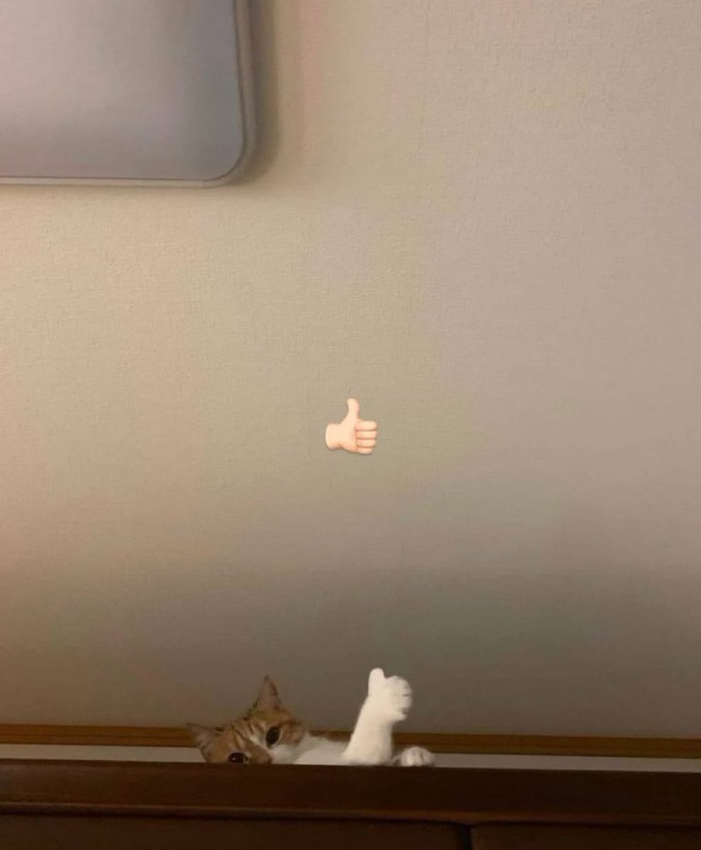 gatinarios's tweet image. 👍🏻