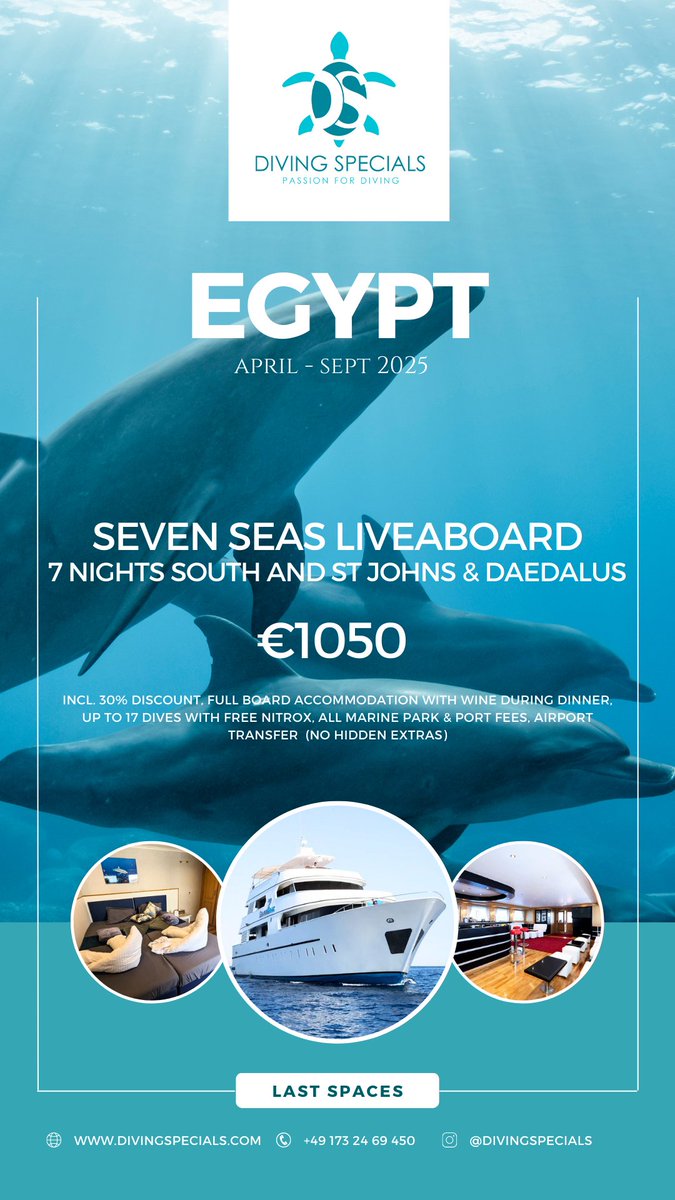 EGYPT - TOP LIVEABOARD: Seven Seas - 30% OFF! 
Dive with sharks, turtles, vibrant reef life.
Booking Dates: April - Sept 2025
Trip: 7 nights – South &amp; St. Johns + Daedalus
Limited spaces left! WhatsApp us now for details: wa.me/message/IQSBTO…