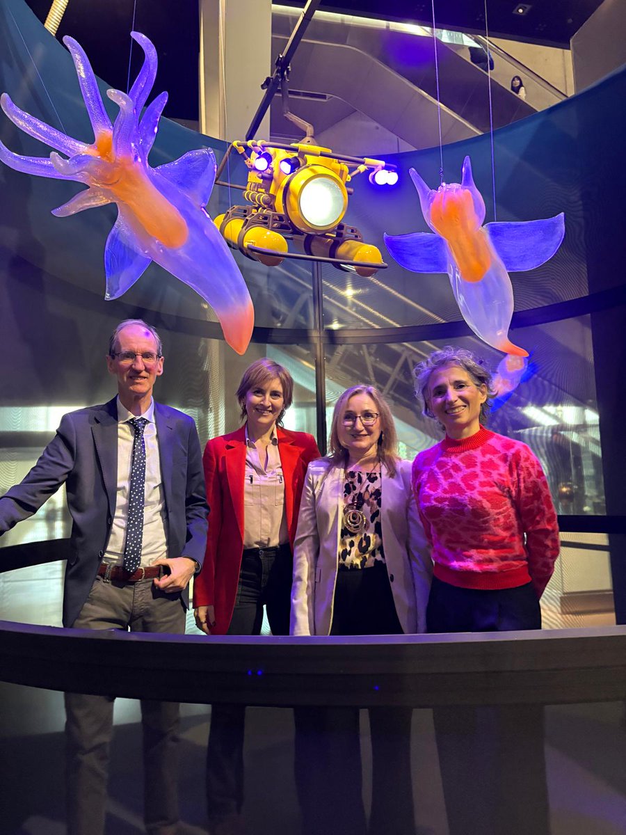 Ester Lázaro tweet media