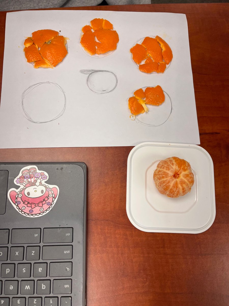 MrsCookMSMath's tweet image. My students always love the surface area of a sphere activity. One student told me that orange peels are good for your skin so we of course had to test that theory. 🤓🍊