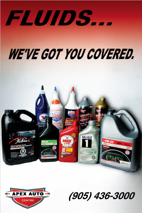ApexAutoON's tweet photo. We got you covered for all your Fluid Supplies! Come visit us or call for more information!
 
 📍190 King St E Oshawa, ON L1H 1C4 Canada
 📞(905) 436-3000 https://t.co/s0RFIpZPVj