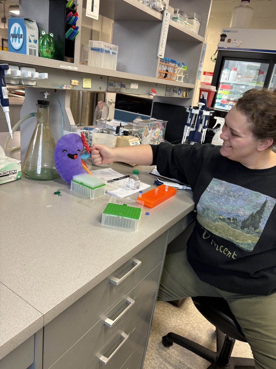 Univ of Pitt Center for Kidney Research (@pittkidneyctr) on Twitter photo #SidneyTheKidney has the #PittDayofGiving mindset today! One of our awesome techs in Dr Shujie Shi’s lab needed help pipetting and Sidney GAVE a helping hand… or ureter… or vein 🤔 but she gave today for our research success!
You can too! pittdayofgiving.com/campaigns/divi… <a href="/PittAlumni/">Pitt Alumni Association</a> #SidneyTheKidney has the #PittDayofGiving mindset today! One of our awesome techs in Dr Shujie Shi’s lab needed help pipetting and Sidney GAVE a helping hand… or ureter… or vein 🤔 but she gave today for our research success!
You can too! pittdayofgiving.com/campaigns/divi… <a href="/PittAlumni/">Pitt Alumni Association</a>