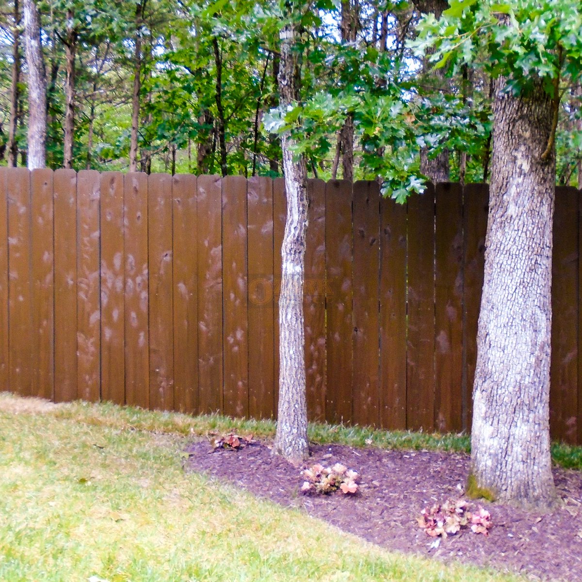 OzarkFence's tweet photo. Stain: Stain &amp; Seal Expert's Chocolate tone
Fence Material: Existing Cedar - Deluxe Cleaning https://t.co/VUvG99vqrf