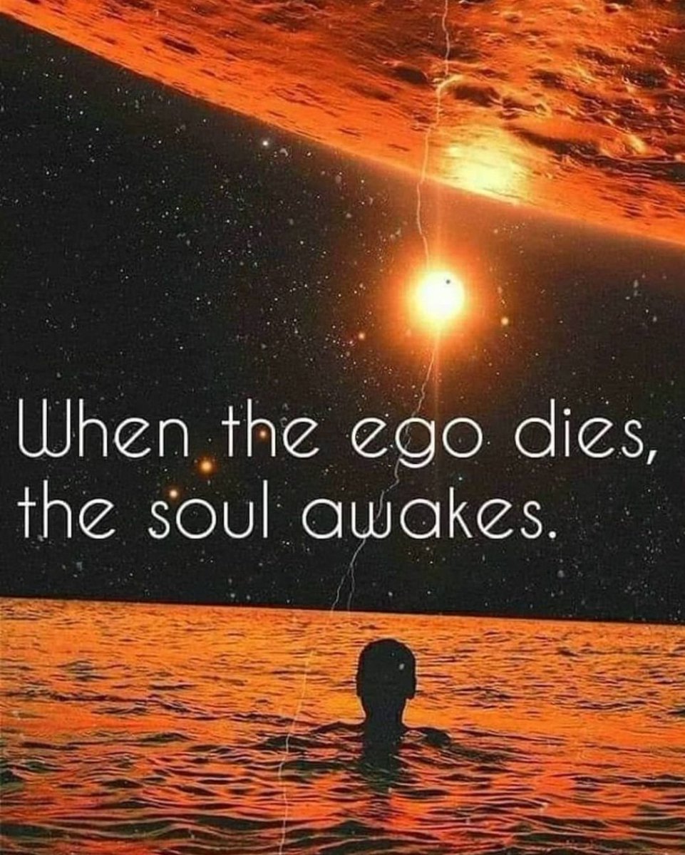 ★ (@thematrixwizard) on Twitter photo 