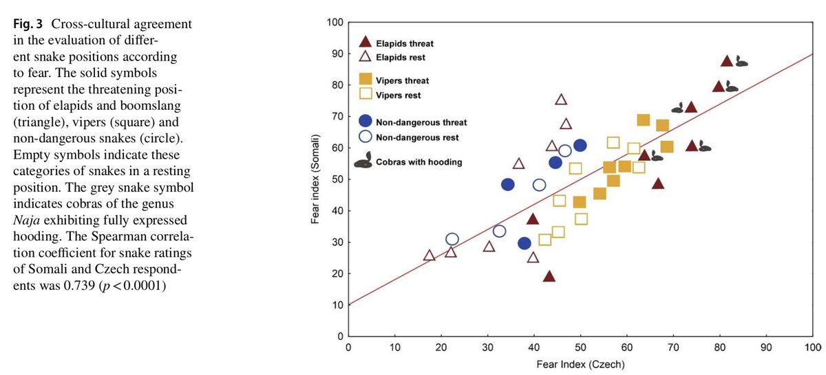 Czech and Slovak Ethological Society (@csets_) on Twitter photo 🐍 What role do defensive postures of #snakes play in evoking fear in humans? And why is the effect of posture so strong in hooding cobras? Prof. Frynta et al. from <a href="/science_charles/">Faculty of Science of Charles University</a> come up with the answers in a new cross-cultural paper. Link below ⬇️
doi.org/10.1007/s00114… 🐍 What role do defensive postures of #snakes play in evoking fear in humans? And why is the effect of posture so strong in hooding cobras? Prof. Frynta et al. from <a href="/science_charles/">Faculty of Science of Charles University</a> come up with the answers in a new cross-cultural paper. Link below ⬇️
doi.org/10.1007/s00114…