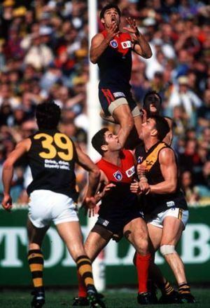 rohan phillips tweet media