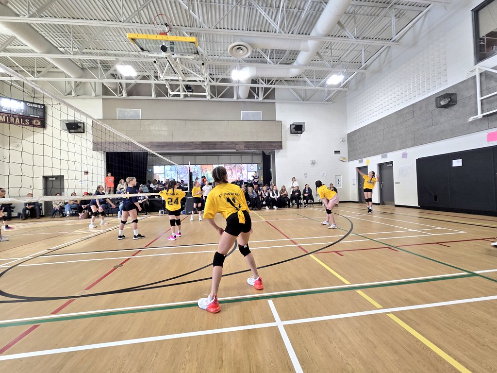 Mlle Trott tweet media