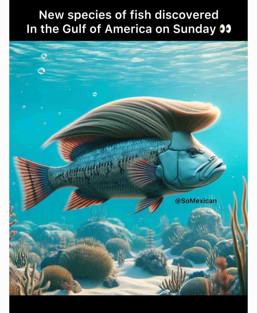 Damn straight 🇺🇸👊🇺🇸