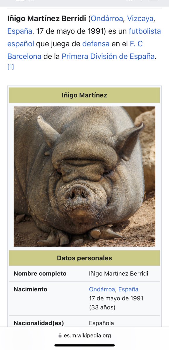 Algú m’explica això? He buscat l’Iñigo Martínez a la wikipedia i surt aquesta bèstia #frac1