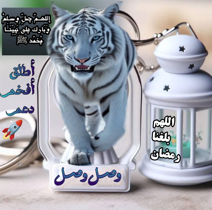 وصل وصل ☘️ ☘️☘️ (@ldaeer52304) on Twitter photo <a href="/LDaeer52304/">وصل وصل مقيد☘️☘️☘️</a>
@Q170__
<a href="/ittsitt/">سقــــــراط2_للدعم 💫60🏆🇸🇦</a>
@Z55Z12
<a href="/2025w6/">همسة دلع || ( W.O.C )</a> @MALEKH39
<a href="/dhafullah/">ud</a> <a href="/RTyby84703/">رهف العتيبي</a> <a href="/yusuf3mari/">يوسف العمريᥫ᭡</a> <a href="/amwaje973/">أمواج البحر</a> <a href="/shamri690/">الشمـري</a> <a href="/jbtny84233/">أعجبتني عيونك</a> <a href="/Shahzain81/">عـاشـقة الـطـب</a>
<a href="/mrym34168/">مريم</a>
<a href="/sharifmohi35414/">sharif mohibi</a> <a href="/PriscillaMabaso/">Priscilla Mabaso</a>
<a href="/2024v1446abdoh/">🤍🤍#القلب أبيض# 🤍🤍</a> <a href="/abuahmad__2__/">@So£J7€_2</a> <a href="/hlmlyky525209/">نبض شاعر</a> @Mahmoud1220807 <a href="/BarysZhrh95399/">مسعد الطويل</a> <a href="/mohammdhosen111/">المحامي محمد حسين</a> <a href="/LDaeer52304/">وصل وصل مقيد☘️☘️☘️</a>
@Q170__
<a href="/ittsitt/">سقــــــراط2_للدعم 💫60🏆🇸🇦</a>
@Z55Z12
<a href="/2025w6/">همسة دلع || ( W.O.C )</a> @MALEKH39
<a href="/dhafullah/">ud</a> <a href="/RTyby84703/">رهف العتيبي</a> <a href="/yusuf3mari/">يوسف العمريᥫ᭡</a> <a href="/amwaje973/">أمواج البحر</a> <a href="/shamri690/">الشمـري</a> <a href="/jbtny84233/">أعجبتني عيونك</a> <a href="/Shahzain81/">عـاشـقة الـطـب</a>
<a href="/mrym34168/">مريم</a>
<a href="/sharifmohi35414/">sharif mohibi</a> <a href="/PriscillaMabaso/">Priscilla Mabaso</a>
<a href="/2024v1446abdoh/">🤍🤍#القلب أبيض# 🤍🤍</a> <a href="/abuahmad__2__/">@So£J7€_2</a> <a href="/hlmlyky525209/">نبض شاعر</a> @Mahmoud1220807 <a href="/BarysZhrh95399/">مسعد الطويل</a> <a href="/mohammdhosen111/">المحامي محمد حسين</a>