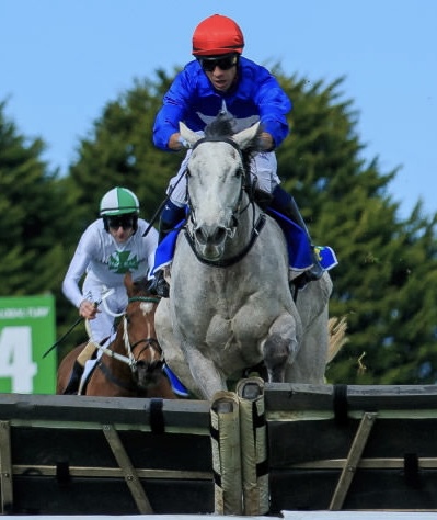 PRIME THOROUGHBREDS (@joefromprime) on Twitter photo Here comes The Fox!!! The Cunning Fox kicks off his preparation for the <a href="/wboolracingclub/">Warrnambool Racing Club</a> Galleywood Hurdle <a href="/MelbRacingClub/">Melbourne Racing Club</a> Sandown today for <a href="/mj_payne/">Michelle Payne</a> Good luck to him and his connections!!! Go The Fox!!! <a href="/m_felgate/">Michael Felgate</a> <a href="/Racing/">Racing.com</a> Here comes The Fox!!! The Cunning Fox kicks off his preparation for the <a href="/wboolracingclub/">Warrnambool Racing Club</a> Galleywood Hurdle <a href="/MelbRacingClub/">Melbourne Racing Club</a> Sandown today for <a href="/mj_payne/">Michelle Payne</a> Good luck to him and his connections!!! Go The Fox!!! <a href="/m_felgate/">Michael Felgate</a> <a href="/Racing/">Racing.com</a>