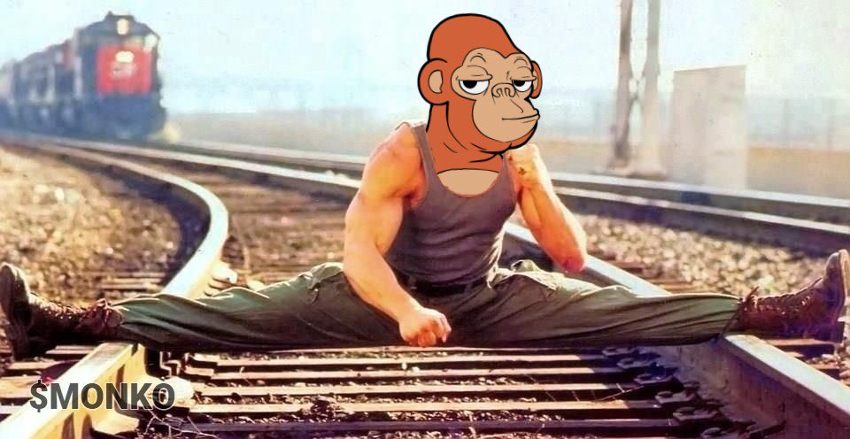 duckape.algo tweet media