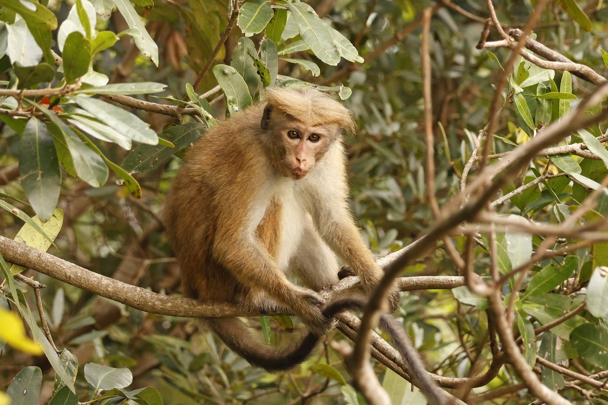 Dominic Mitchell tweet media