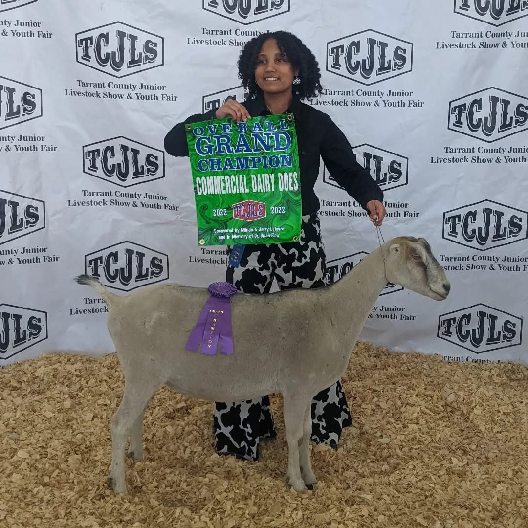 sirpaddydaddy's tweet image. How about we get some local news crews to Texas’ largest county show, the Tarrant County Junior Livestock Show🤠

This charity raises over $400k annually for Tarrant County Kids💸

Running today though Saturday!