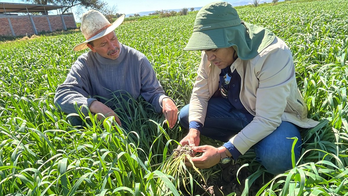 La mejora de los sistemas agroalimentarios de México inicia en el suelo.