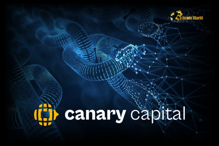 CriptomaniaWeb's tweet image. &quot;¡Canary Capital se lanza a las criptomonedas! 💰 ¡Otro cambio arriesgado en un mercado volátil! 📉 ¿Realmente será un éxito o solo una moda pasajera? 😏 #CriptoInversión #RiesgoFinanciero

¿Canary Capital apuesta por el futuro o por una burbuja a punto de estallar? 🤔 ¿Es…