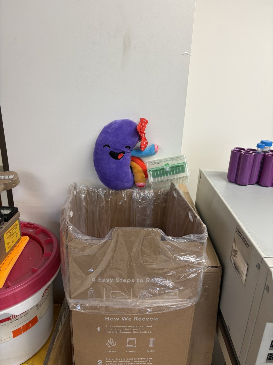 Univ of Pitt Center for Kidney Research (@pittkidneyctr) on Twitter photo At it again! #SidneyTheKidney rocking at #PittDayofGiving by giving help to our entire team and even the environment! Your support enables growth and discovery in research, technology, care, training, and lives. Your gifts are the foundation of all we do here 💙💛
<a href="/PittAlumni/">Pitt Alumni Association</a> At it again! #SidneyTheKidney rocking at #PittDayofGiving by giving help to our entire team and even the environment! Your support enables growth and discovery in research, technology, care, training, and lives. Your gifts are the foundation of all we do here 💙💛
<a href="/PittAlumni/">Pitt Alumni Association</a>