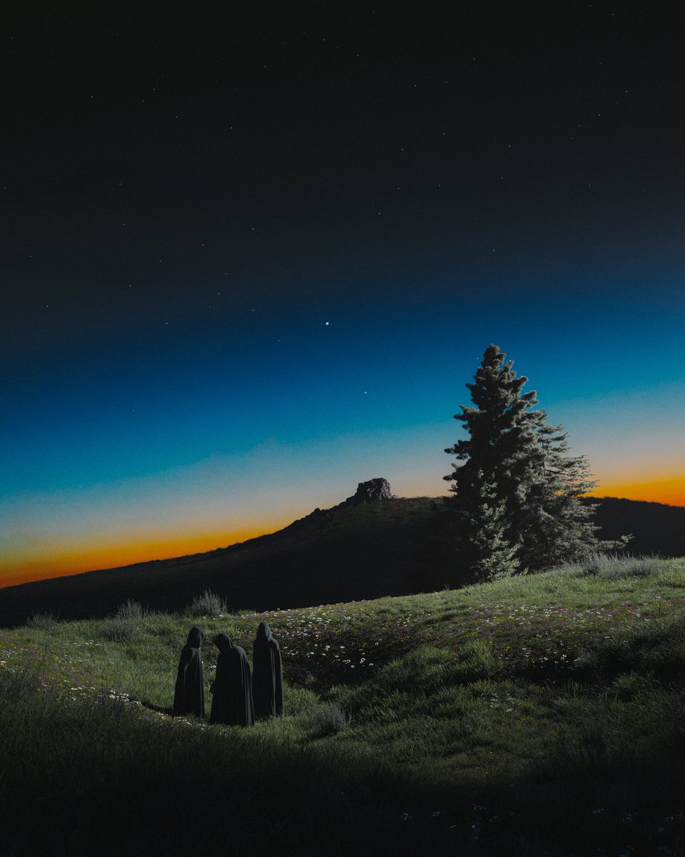 outrunyouth's tweet image. your daily reminder that Blender is a free tool