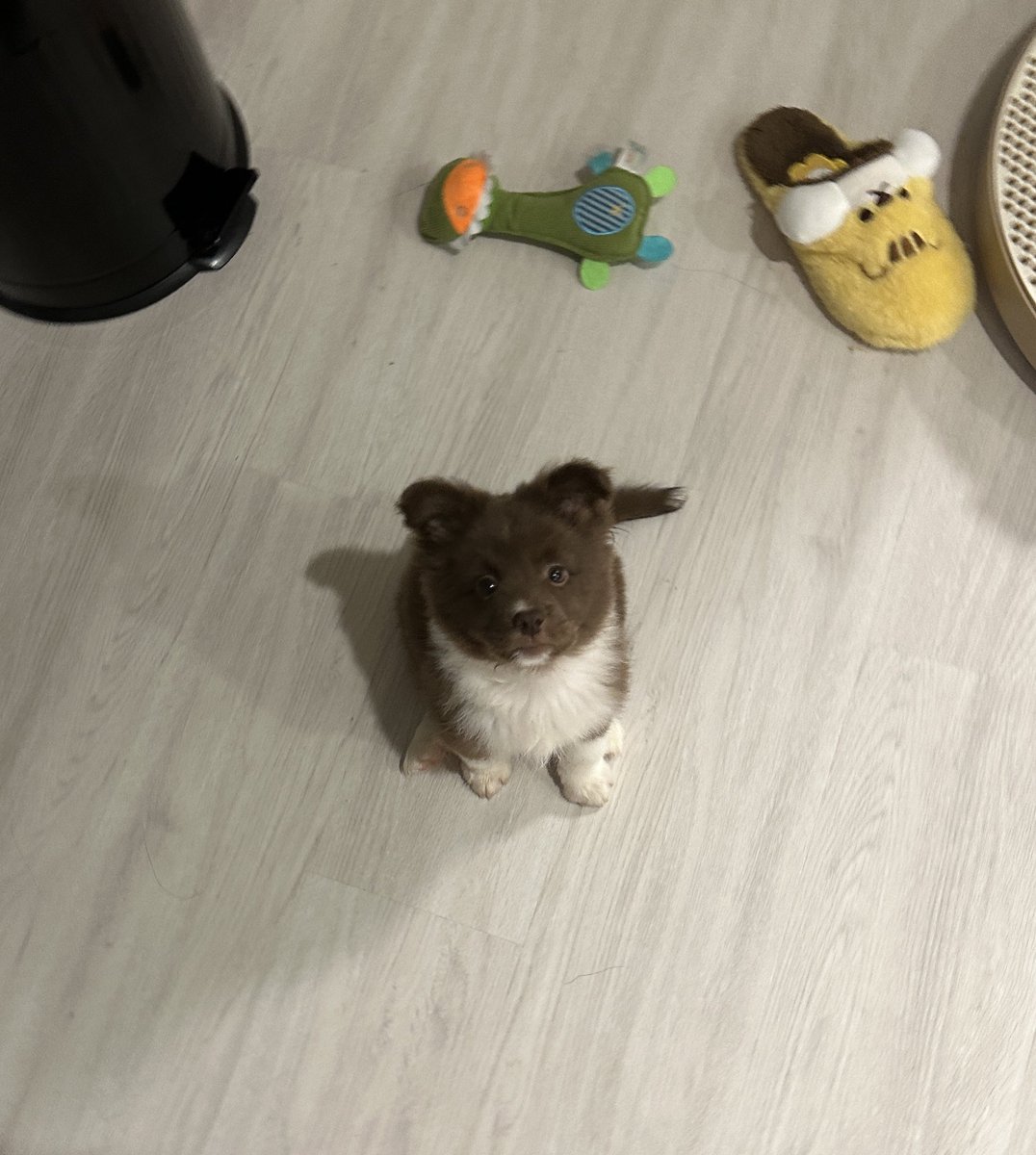 bamtingoo's tweet photo. 어릴 때 난 어렸지 https://t.co/wPMxCOhZGx