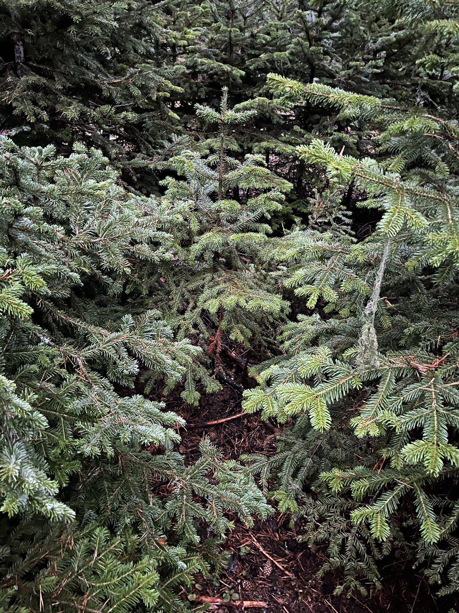 Kimse anlamayacak ama hayatımın en iyi 3 fotosu