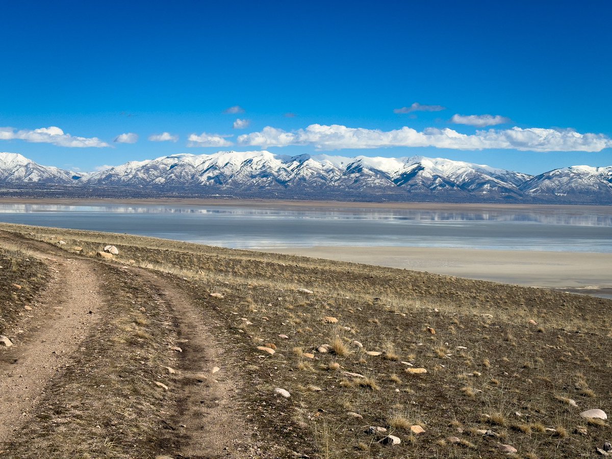 Stefan Penner tweet media