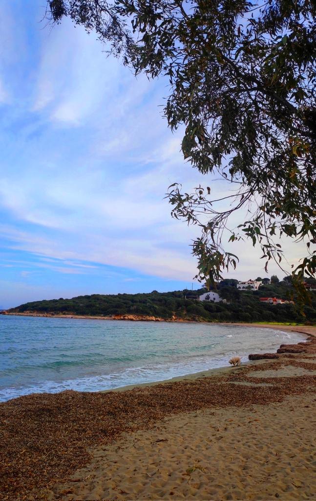 #spiaggiadiMaladroxia
#SantAntioco
#sudSardegna
Buon mercoledì a tutti.