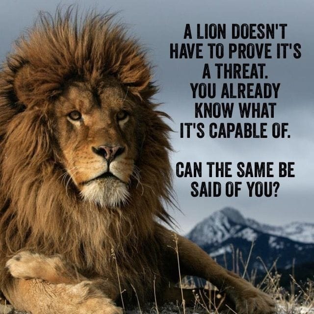 MonishaJobsApp's tweet photo. 🦁 Power is Silent, Confidence is Loud!

#quotes #Confidence #StayStrong #FearlessMindset #SelfGrowth #SuccessMindset #Motivation #Unstoppable #Leadership #MindsetMatters #StayFocused #StayMotivated #WinningMindse #SuccessTips  #GameChanger #DailyMotivation #KeepGoing #Manifest https://t.co/BEPia0bvq3