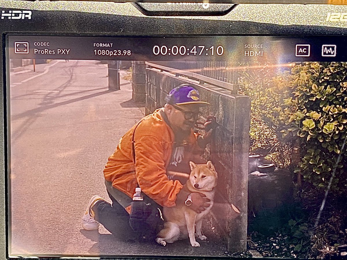 CoyamanZ_FILM's tweet photo. #拡散希望
監督したドラマ「#今日のさんぽんた」
なんと地上波放送決定です！
ただただ可愛い犬を散歩させる
平和でゆる〜いほのぼのコメディ
考察とかもうそう言うの一切なし
水曜の深夜、１日の締めくくりに是非ご覧下さい！
3/5 (日)24:35〜からスタートです
#安田顕 #新谷ゆづみ #のこ #きなこ https://t.co/dZM0x7Tsky