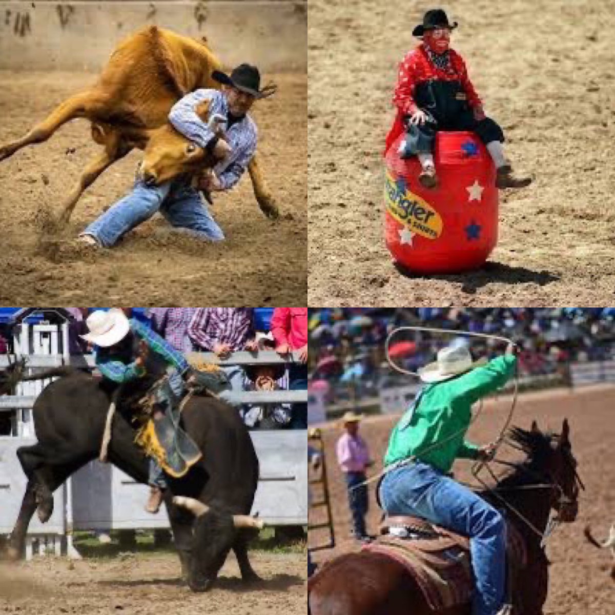 SwedishCanary's tweet photo. I didn’t realize I was supposed to know how to do everything by my second rodeo… seems like a very low number of rodeos. #NotMyFirst https://t.co/CsLyUUO4DK