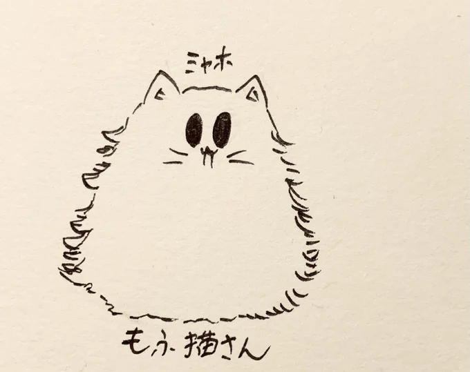 ミャホ ミャホ (流行りと関係ないもふ猫さん🐱) 