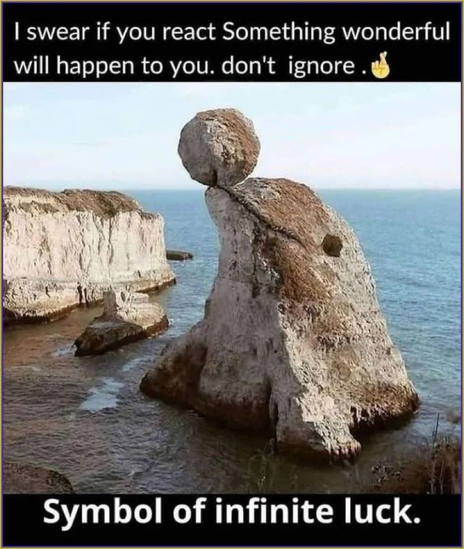 Robmay03's tweet image. 