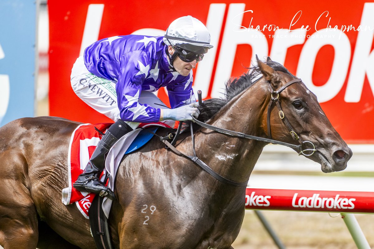 FastTrackPhotog's tweet image. Congrats to Sanniya winning the Listed Gold Sovereign in Launceston today @StarTbreds @TasracingAus @Aushorse_TBA @mmsnippets