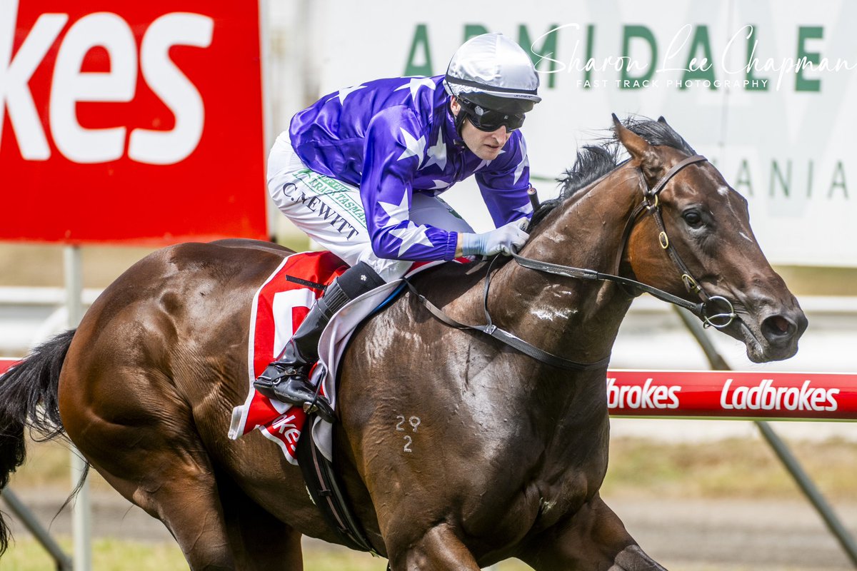 FastTrackPhotog's tweet image. Congrats to Sanniya winning the Listed Gold Sovereign in Launceston today @StarTbreds @TasracingAus @Aushorse_TBA @mmsnippets