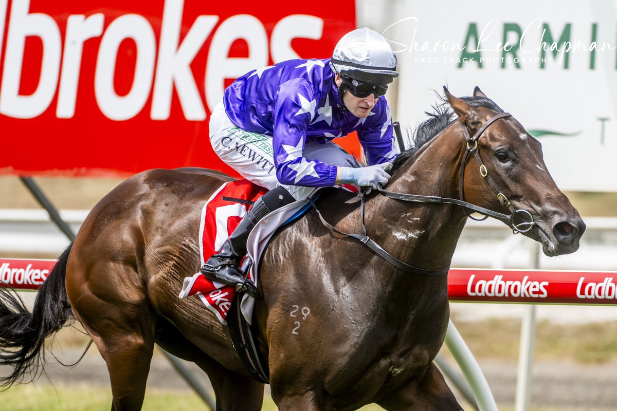 FastTrackPhotog's tweet image. Congrats to Sanniya winning the Listed Gold Sovereign in Launceston today @StarTbreds @TasracingAus @Aushorse_TBA @mmsnippets