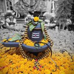 Photo by Gajendrasinh Rajput (@Gajendr47284058)