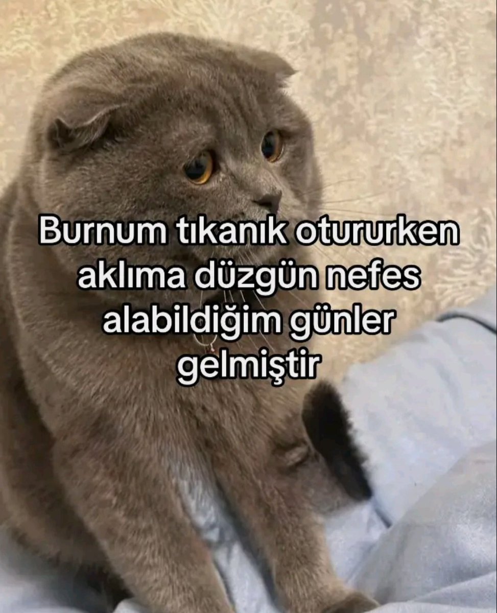 ANLIK (@anlikmod) on Twitter photo 