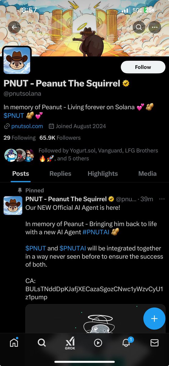meme_maniacs's tweet photo. Big Update: 

@pnutsolana $PNUT launched $PNUTAI and deleted the tweet! 

@elonmusk Is PNUT that ran presidential campaign is a hack too? 

CT push $PNUTAI quant genz style! https://t.co/IRiUrziZJW