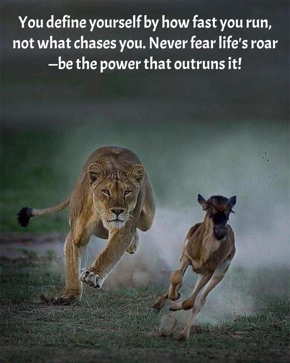 PramodK76966110's tweet image. #RiseThroughTheChase 🏆 #StrengthInStruggle 💪 #RunToConquer 🏃‍♂️
