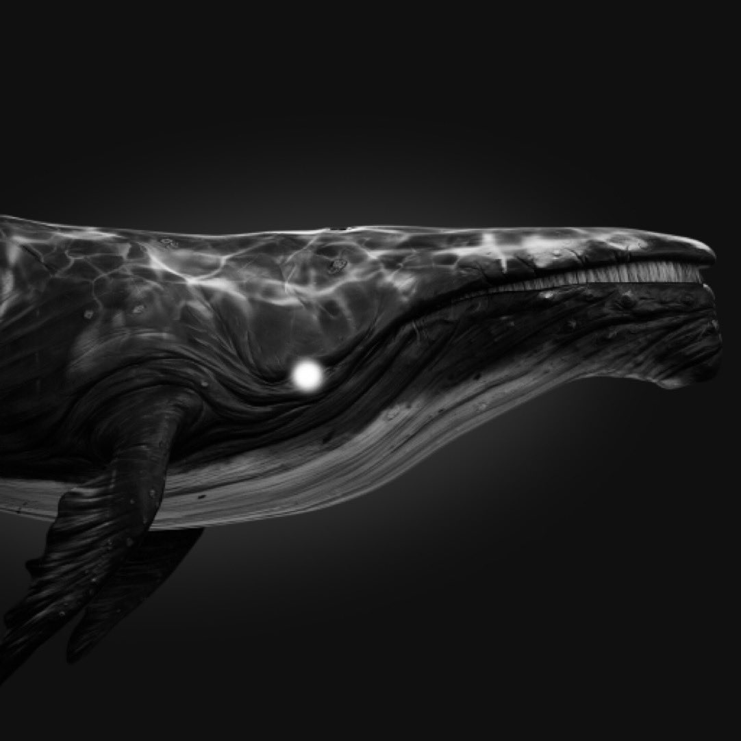 gm 🌑  #web3 chad 

#SolanaCommunity #Web3Community