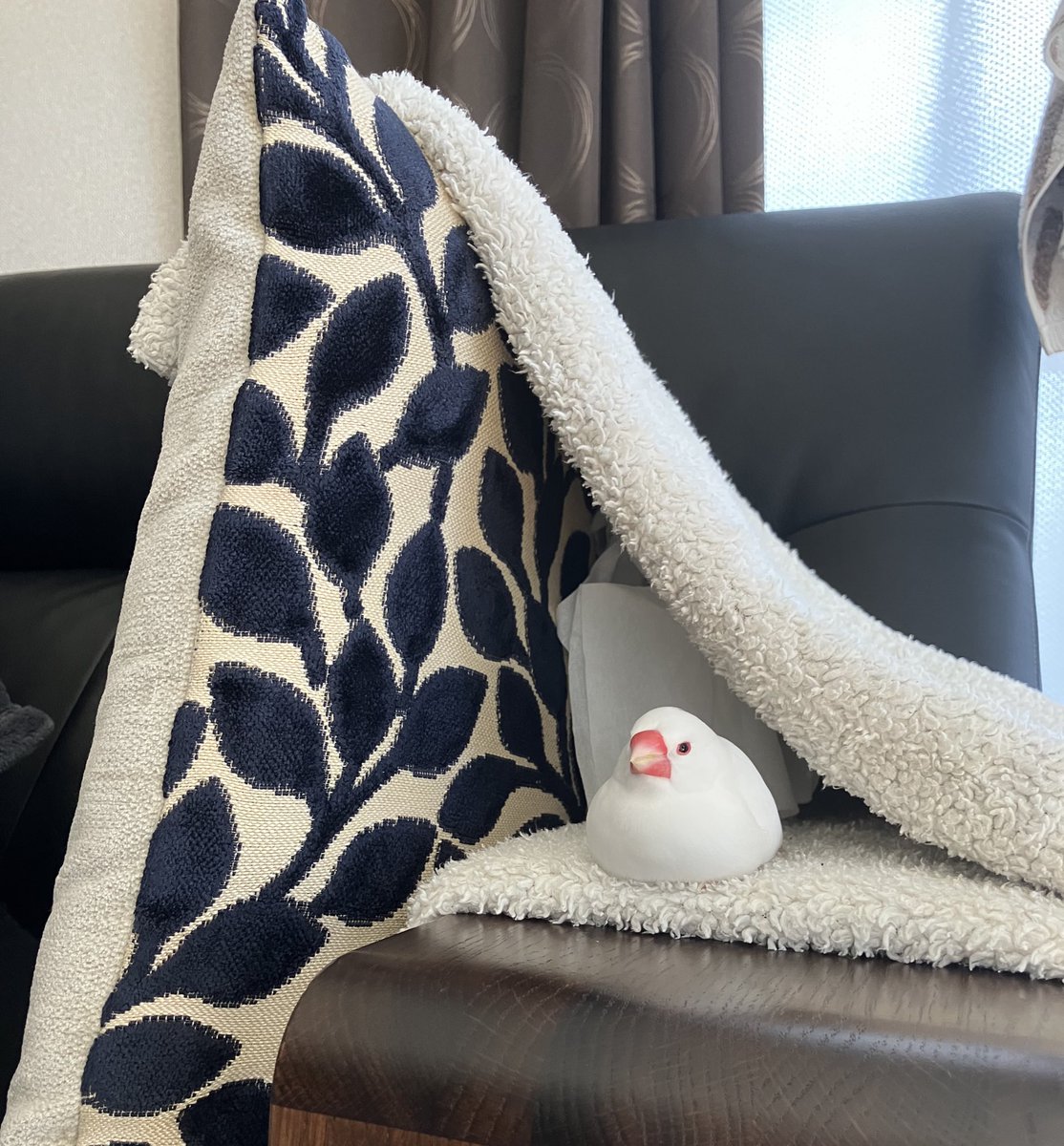 今日も今日とて。