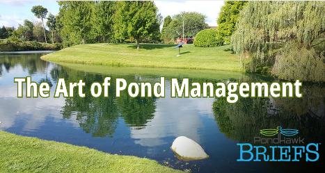 SolarPondHawk's tweet image. Nature’s beauty, reimagined! #StormwaterSolutions #pondaerators #greenkeeping #greenkeeper #golfmanagement #ngcoa #gcsaa #hoamanagement #golfcoursesuperintendent #stormwater social.pondhawk.com/QViB