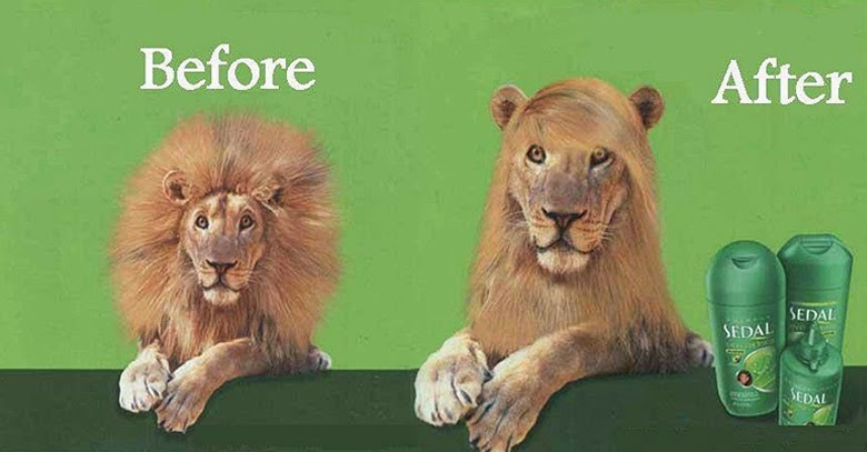 chloesundland's tweet photo. Everyone has had a bad hair day before and this advertisement hilariously shows it allowing the brand to appeal to its consumers by giving them something funny and relatable! @RetailPro369 https://t.co/KkZ5hPiz6i