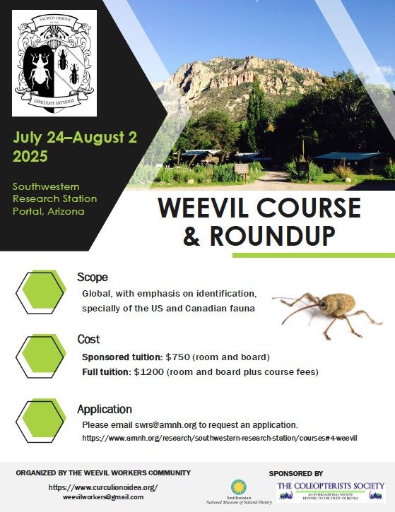 Weevil Course &amp; Roundup 

When: July 24 – August 2, 2025
Where: Southwestern Research Station, Portal, Arizona, USA
Info: curculionoidea.org/weevil-course-…
Applications are open: amnh.org/research/south…