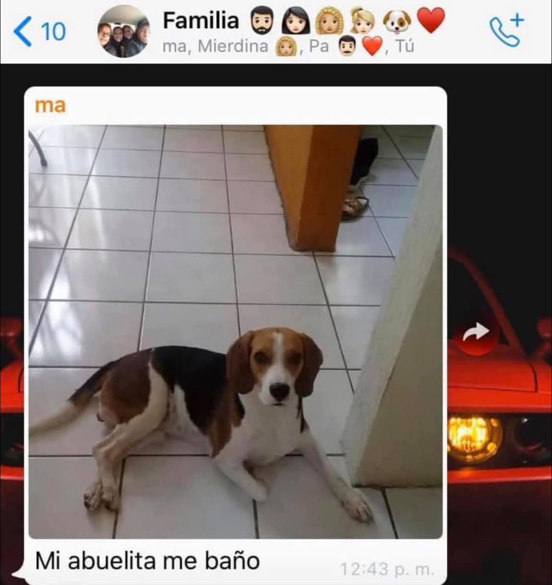 Mi mamá: “Yo no quiero nada de perros en esta casa”

Mi mamá también con el perrito que adopté sin su permiso: