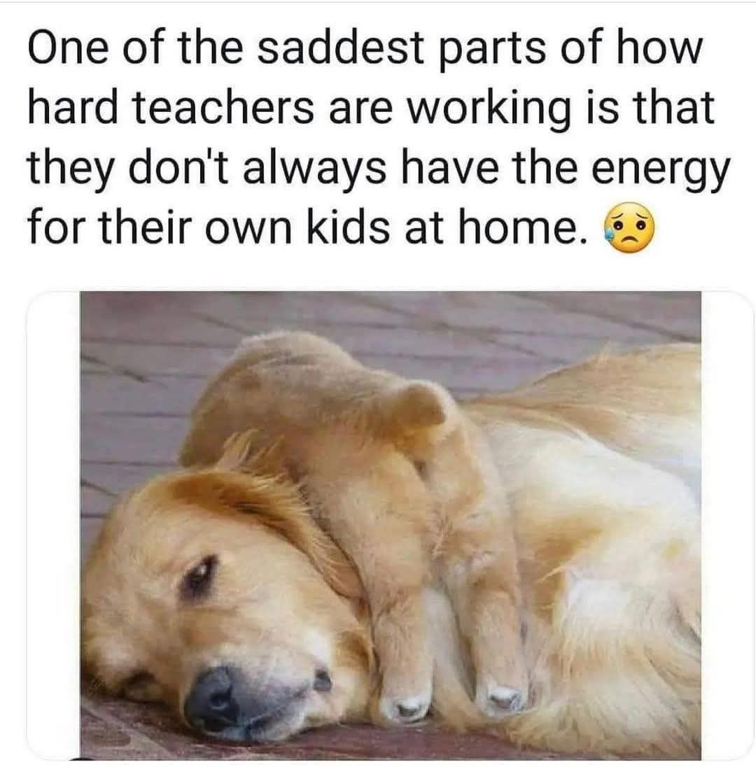 TeacherGoals tweet media