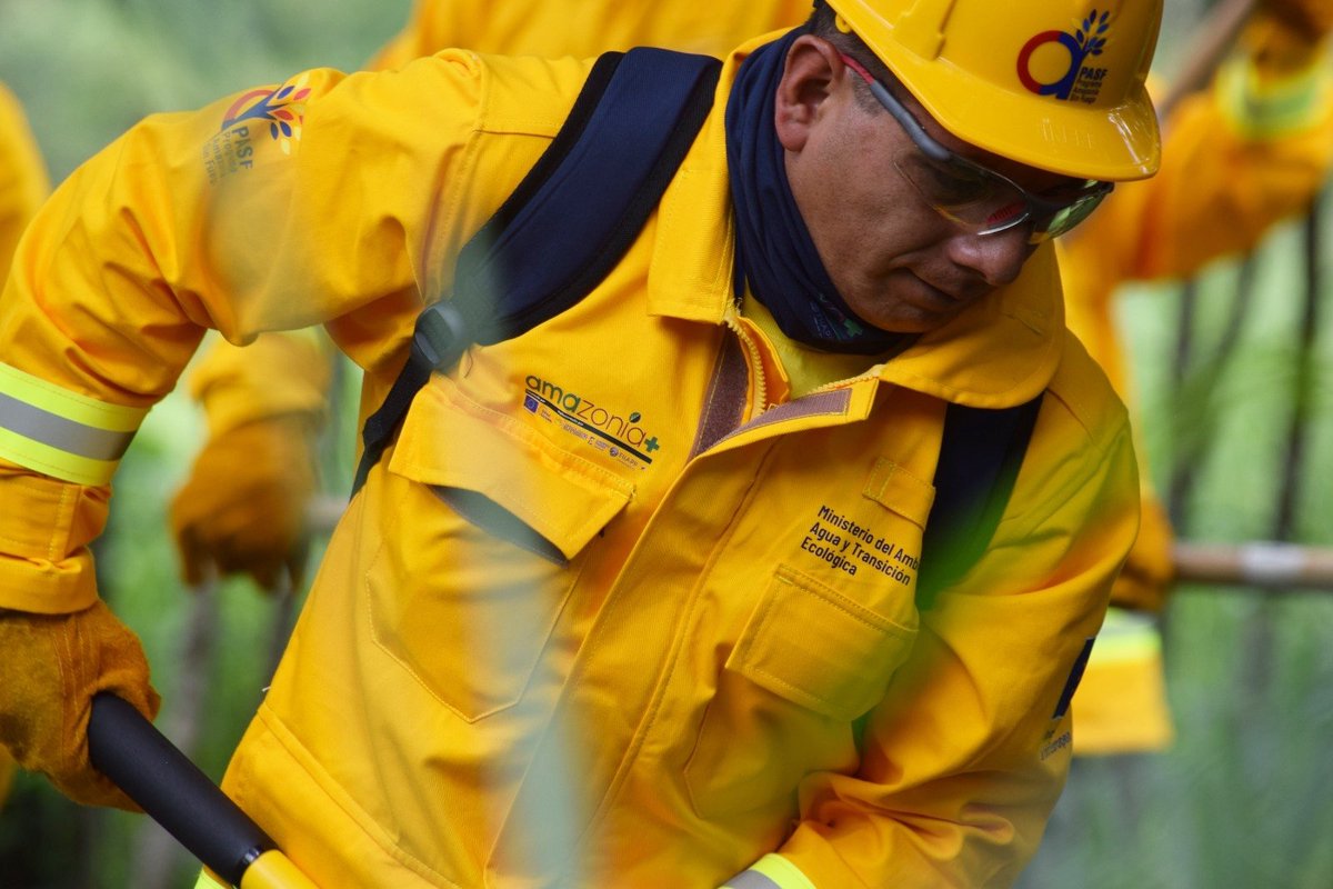 EcuadorFias's tweet photo. 🇪🇨 fortalece la prevención de incendios forestales con la capacitación de brigadas comunitarias transfronterizas. El @PASFecuador, el Programa Amazonía+, financiado por @UEenEcuador, y @Ambiente_Ec, promueven la cooperación entre Ecuador, Perú y Colombia.

https://t.co/hVr8eT0V1K https://t.co/fdZ3PH6fFR