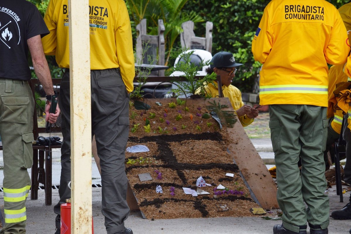 EcuadorFias's tweet photo. 🇪🇨 fortalece la prevención de incendios forestales con la capacitación de brigadas comunitarias transfronterizas. El @PASFecuador, el Programa Amazonía+, financiado por @UEenEcuador, y @Ambiente_Ec, promueven la cooperación entre Ecuador, Perú y Colombia.

https://t.co/hVr8eT0V1K https://t.co/fdZ3PH6fFR