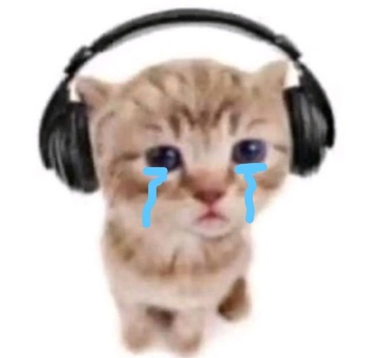 Ya no puedo escuchar las canciones de twenty one pilots normal, ya las escucho en versión en vivo y me dan ganas llorar porque recuerdo el concierto