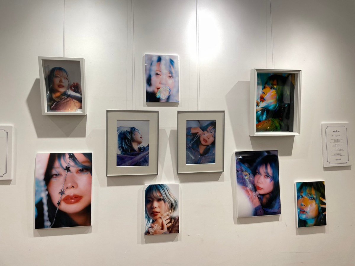 neo_0218's tweet photo. ✩.*˚うちのねこグッズ
       巾着・トートバッグ

⟡.·*.展示写真作品(1600円～)

🦋🐻‍❄️Web Shopで販売スタート🐻‍❄️🦋
https://t.co/U4cdW6hAaH

"Save My Game"の展示作品が
一覧で見れちゃうので
ぜひ商品ページ見てみてね! #savemygame https://t.co/QQYW7fzmxX